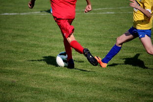 九游-全国青少年风筝比赛激发少年创造力，全国风筝锦标赛